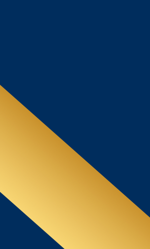 Atendimento e consultoria em seguros 